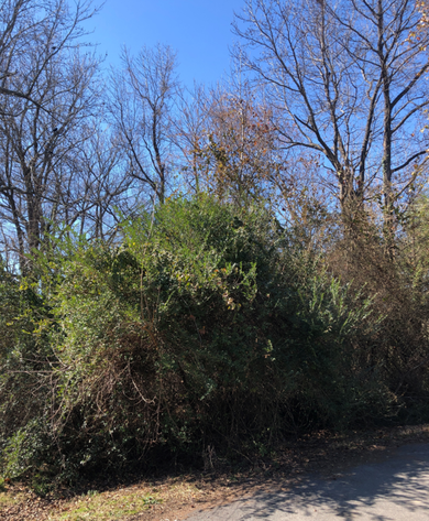 Image for Henrico County, VA Tax Delinquent Sale of Real Estate