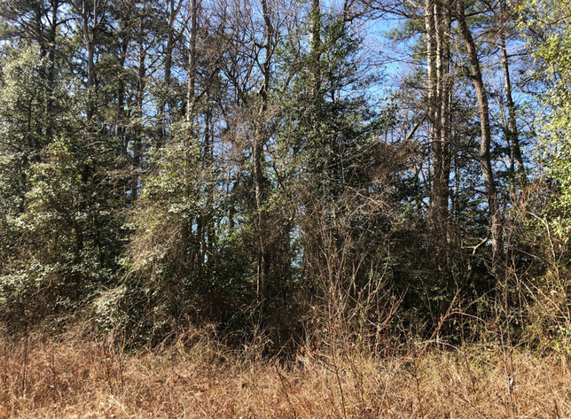 Image for Henrico County, VA Tax Delinquent Sale of Real Estate