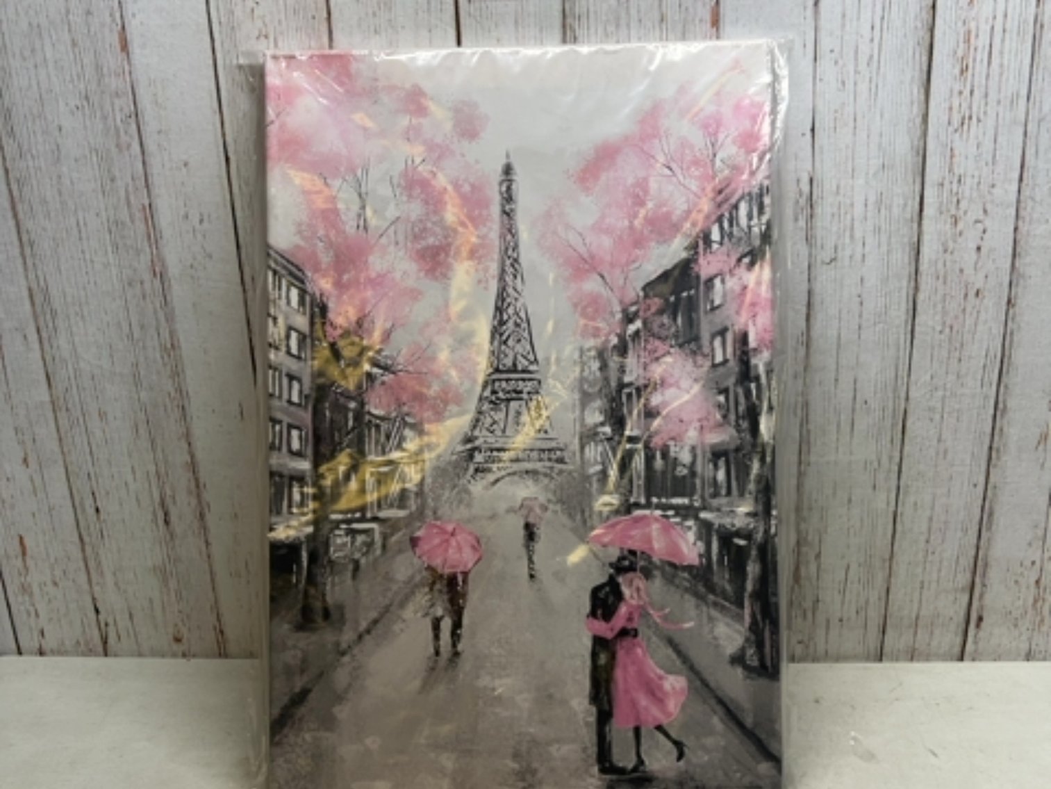 Paris canvas wall art 