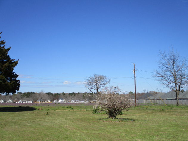 Image for LIVE AUCTION - 2 Houses & Shop on 15.573 Acres in Houston County, Georgia