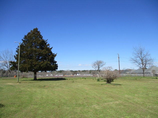 Image for LIVE AUCTION - 2 Houses & Shop on 15.573 Acres in Houston County, Georgia