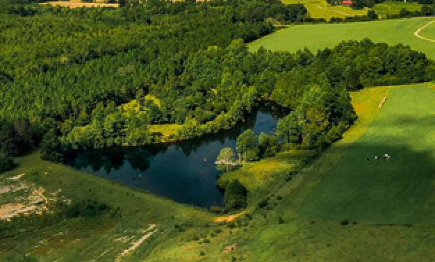 Image for Premier Home & 153 Acre Farm - Ponce de Leon, Florida