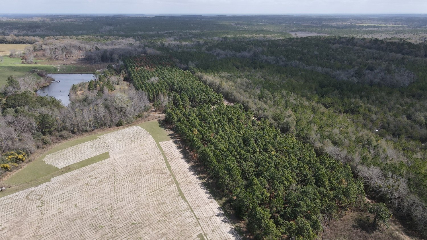 Image for Premier Home & 153 Acre Farm - Ponce de Leon, Florida