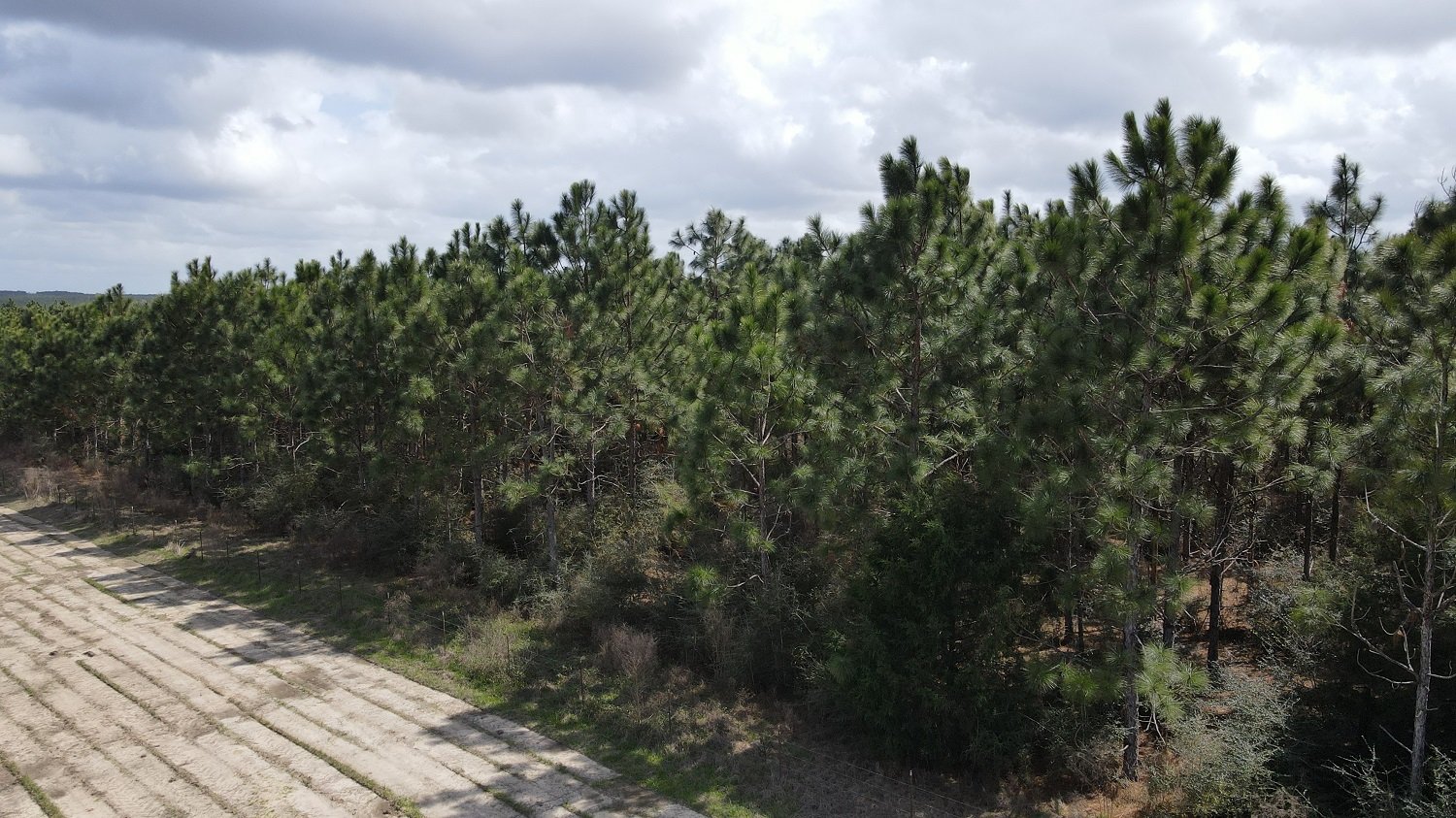 Image for Premier Home & 153 Acre Farm - Ponce de Leon, Florida