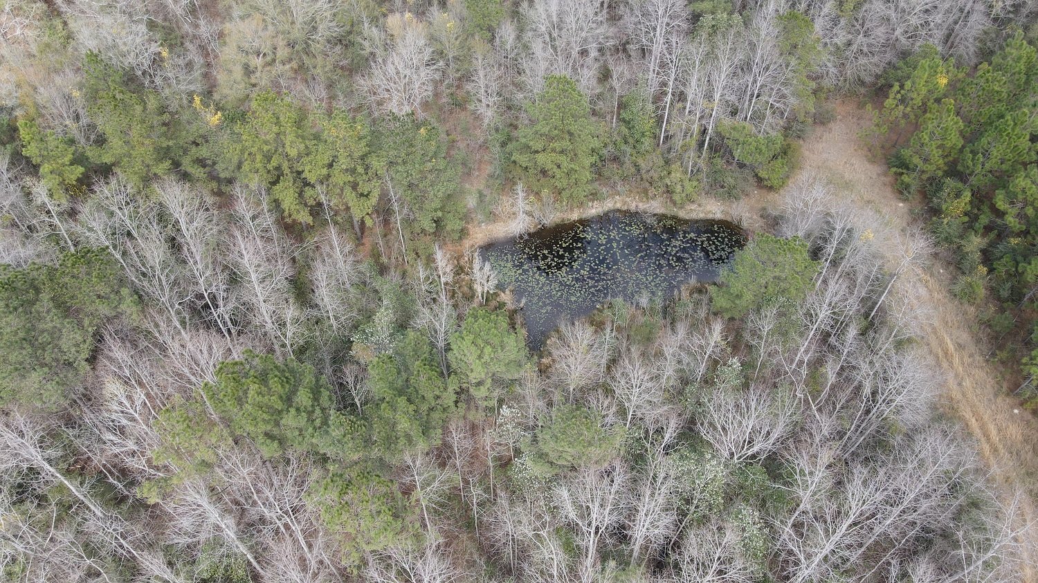 Image for Premier Home & 153 Acre Farm - Ponce de Leon, Florida