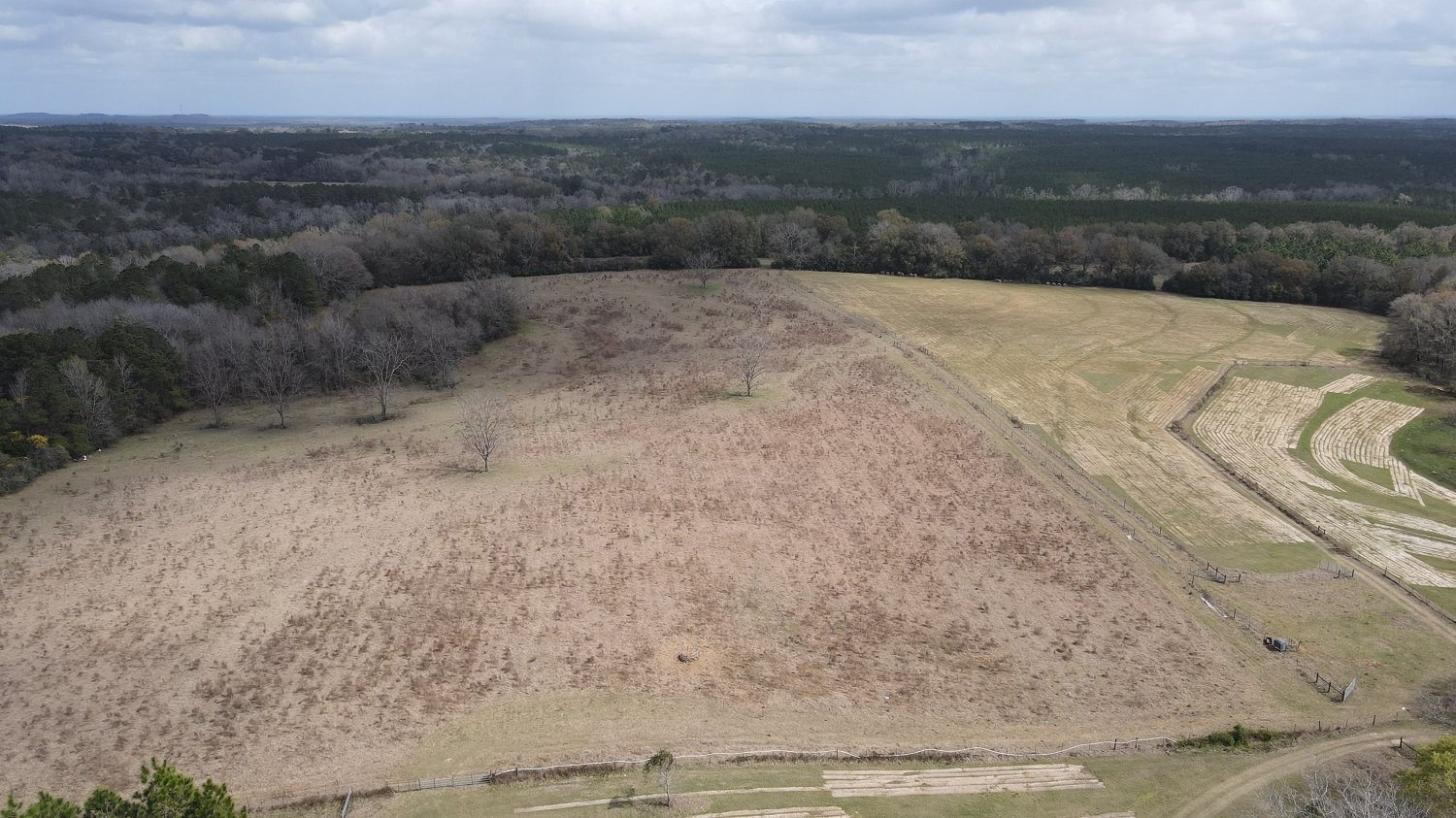 Image for Premier Home & 153 Acre Farm - Ponce de Leon, Florida