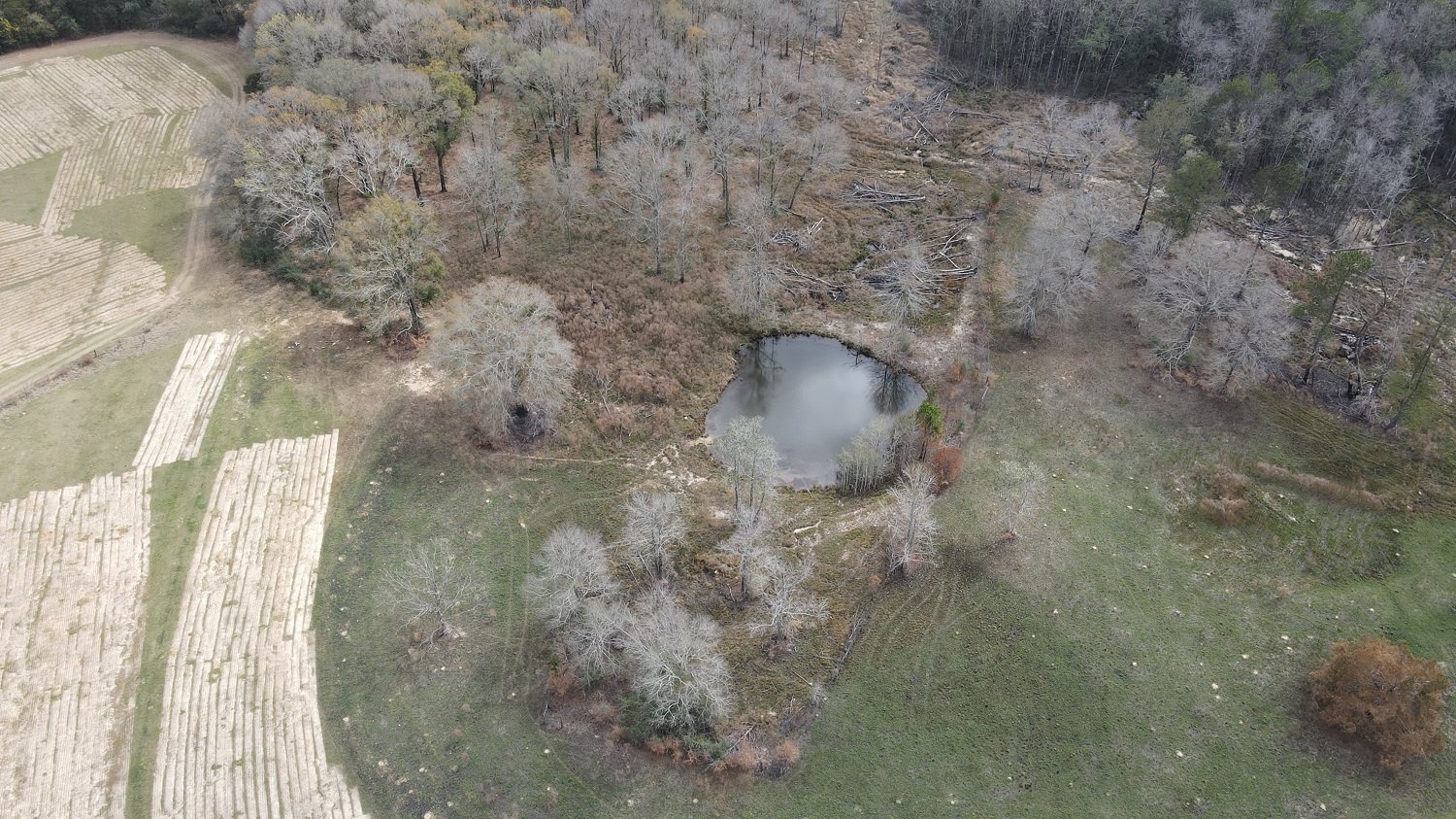 Image for Premier Home & 153 Acre Farm - Ponce de Leon, Florida