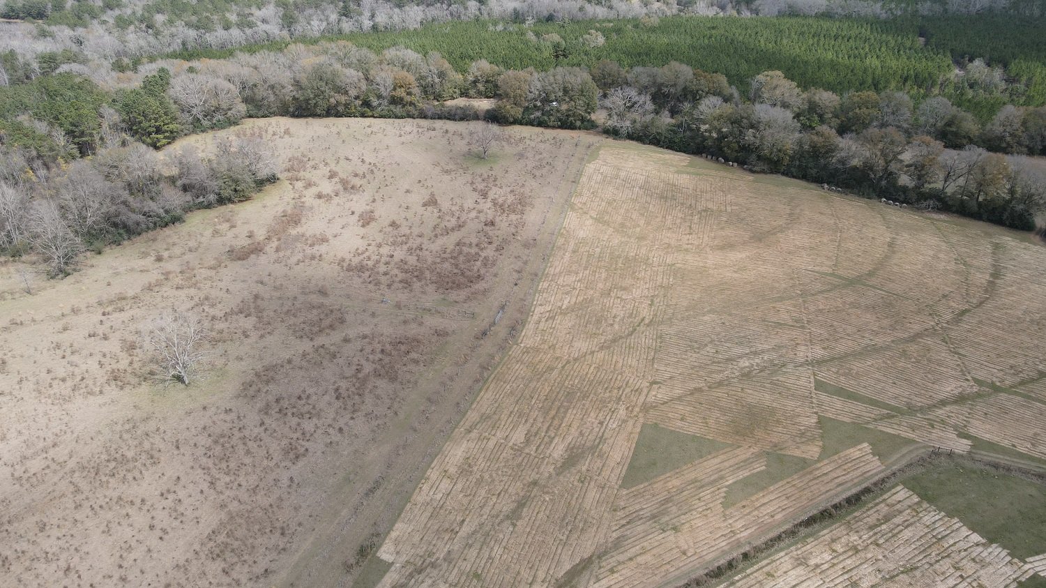 Image for Premier Home & 153 Acre Farm - Ponce de Leon, Florida