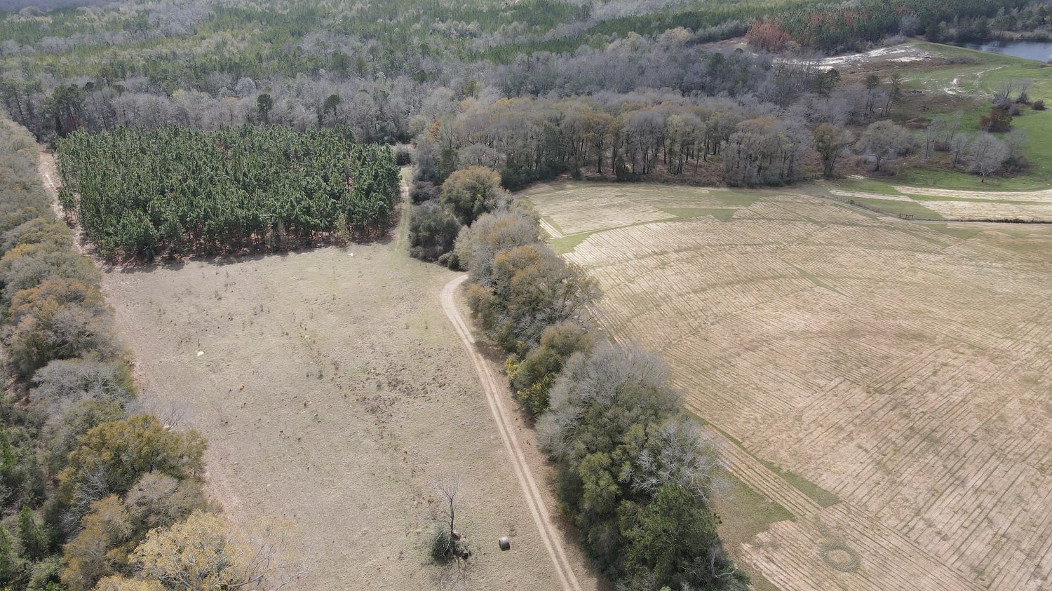 Image for Premier Home & 153 Acre Farm - Ponce de Leon, Florida