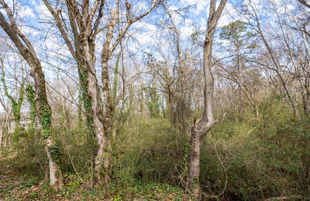 Image for Halifax County, VA Tax Delinquent Sale of Real Estate