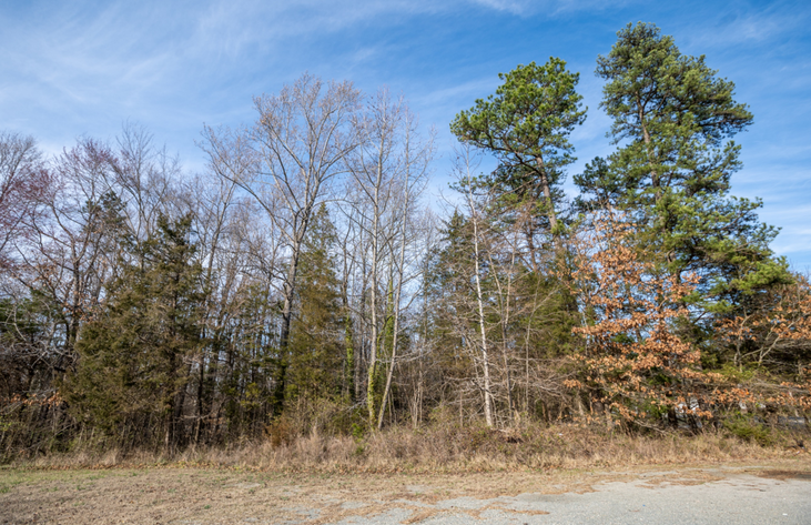 Image for Halifax County, VA Tax Delinquent Sale of Real Estate