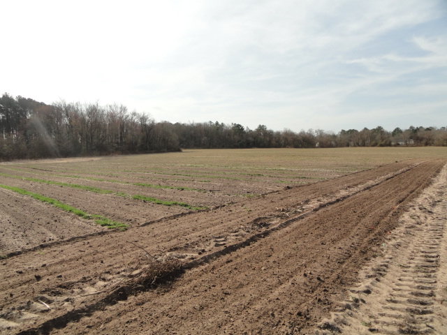 Image for Apr 9, 2022 Real Estate & Farm Equipment Auction