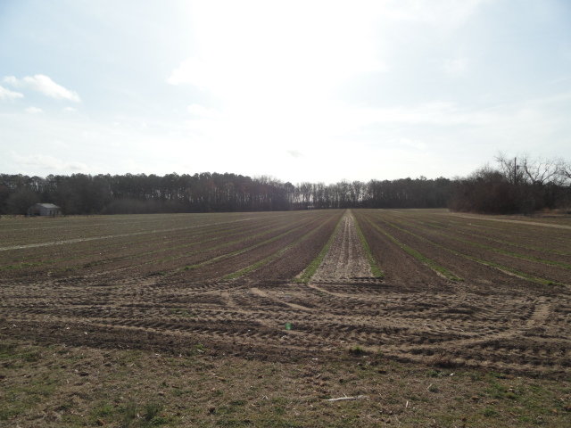 Image for Apr 9, 2022 Real Estate & Farm Equipment Auction