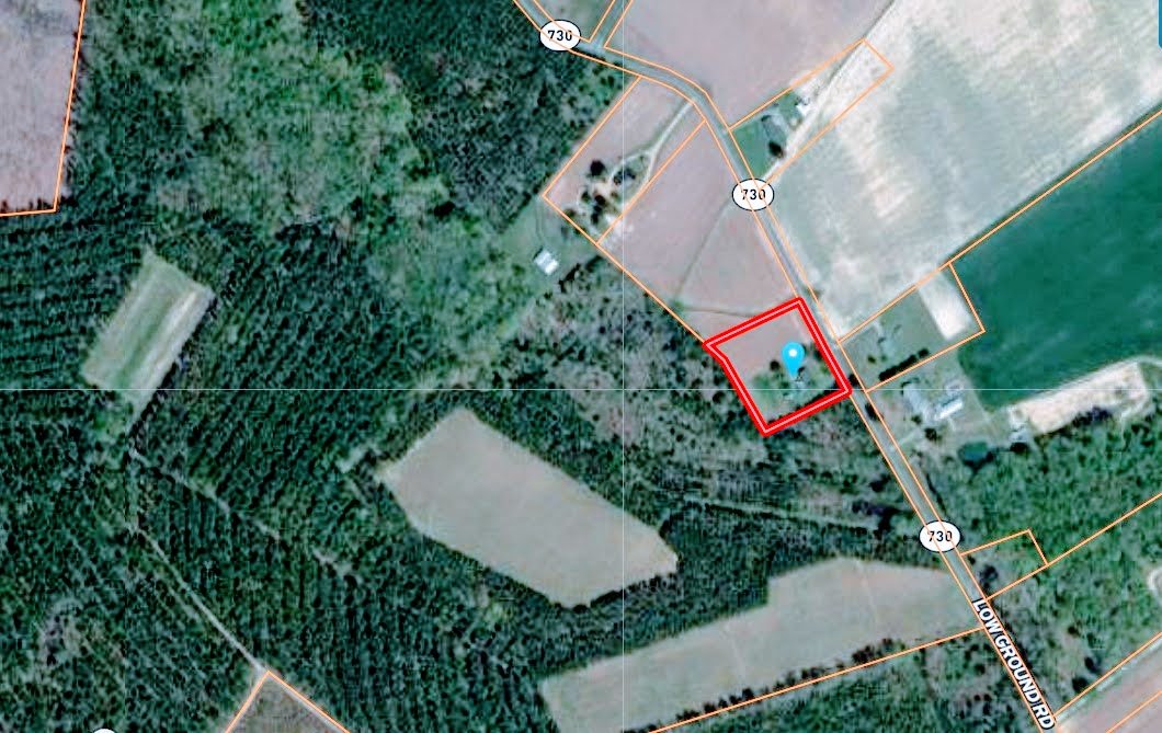 Image for Trustee Sale | 3 bedroom | 1.5 bath | 1,040 +/- sf Rancher on 2.00 +/- acres on Low Ground Road in Greensville County, VA