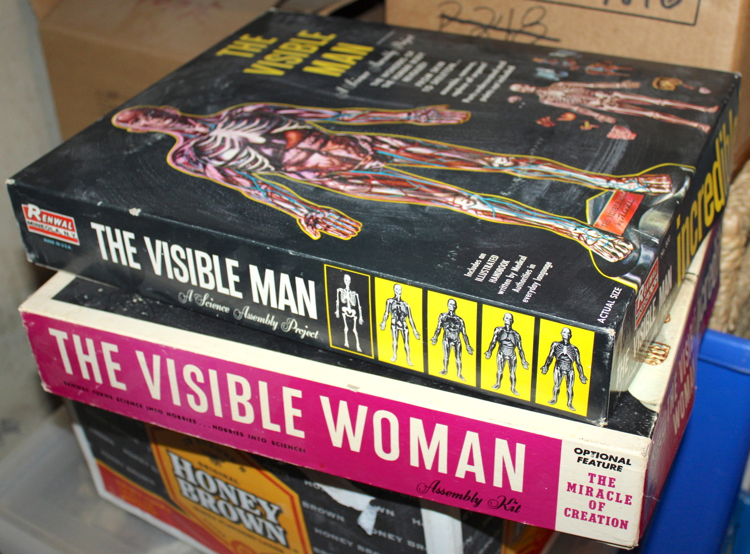 Image for HUNNICUTT LIVING ESTATE AUCTION