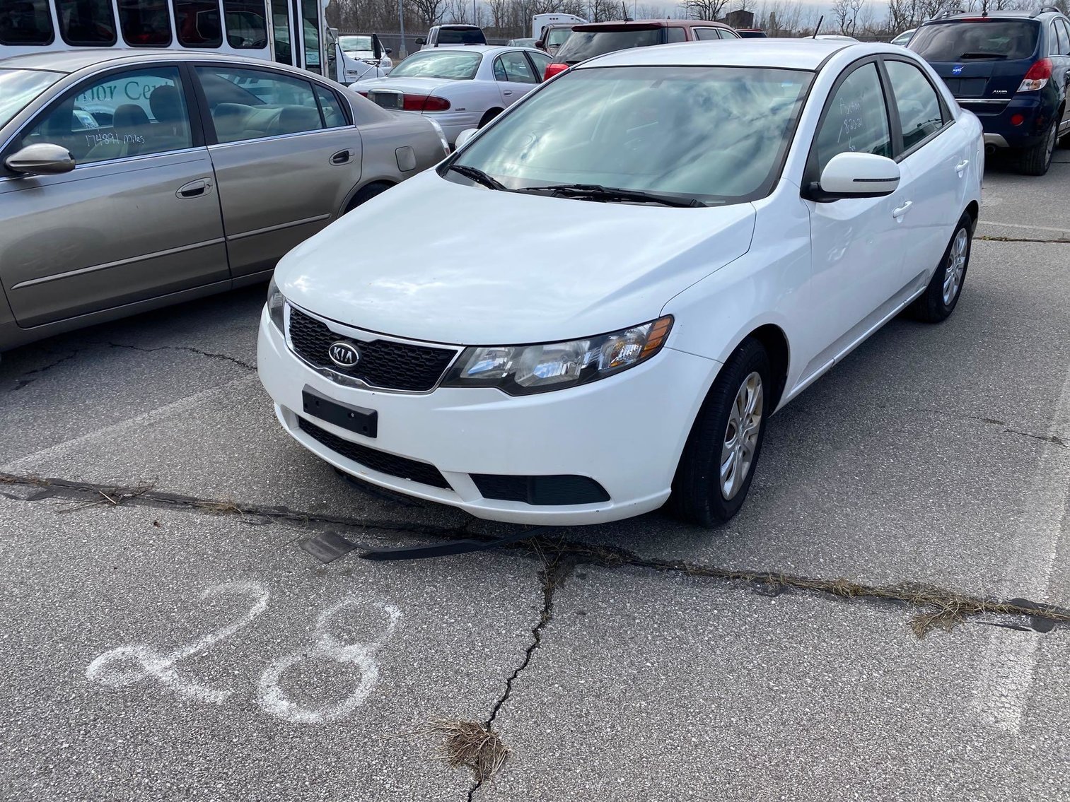 Image for Toledo Police Seized Vehicles