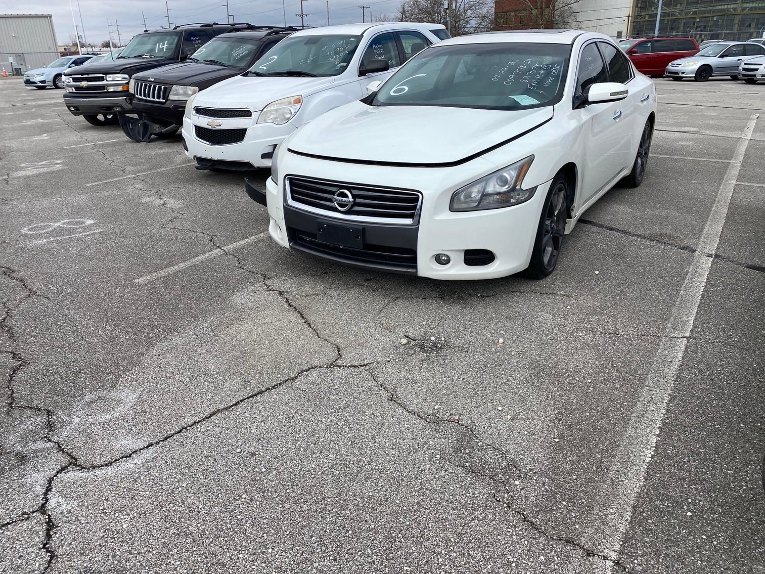 Image for Toledo Police Seized Vehicles