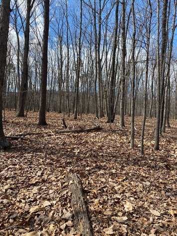Image for Absolute Auction - Waller Estate - 0.88 Acre Lot in Rustburg VA