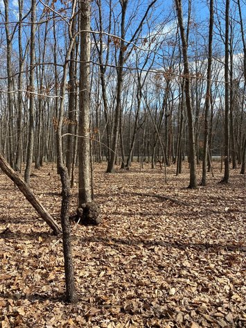 Image for Absolute Auction - Waller Estate - 0.88 Acre Lot in Rustburg VA