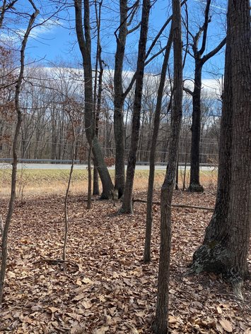 Image for Absolute Auction - Waller Estate - 0.88 Acre Lot in Rustburg VA