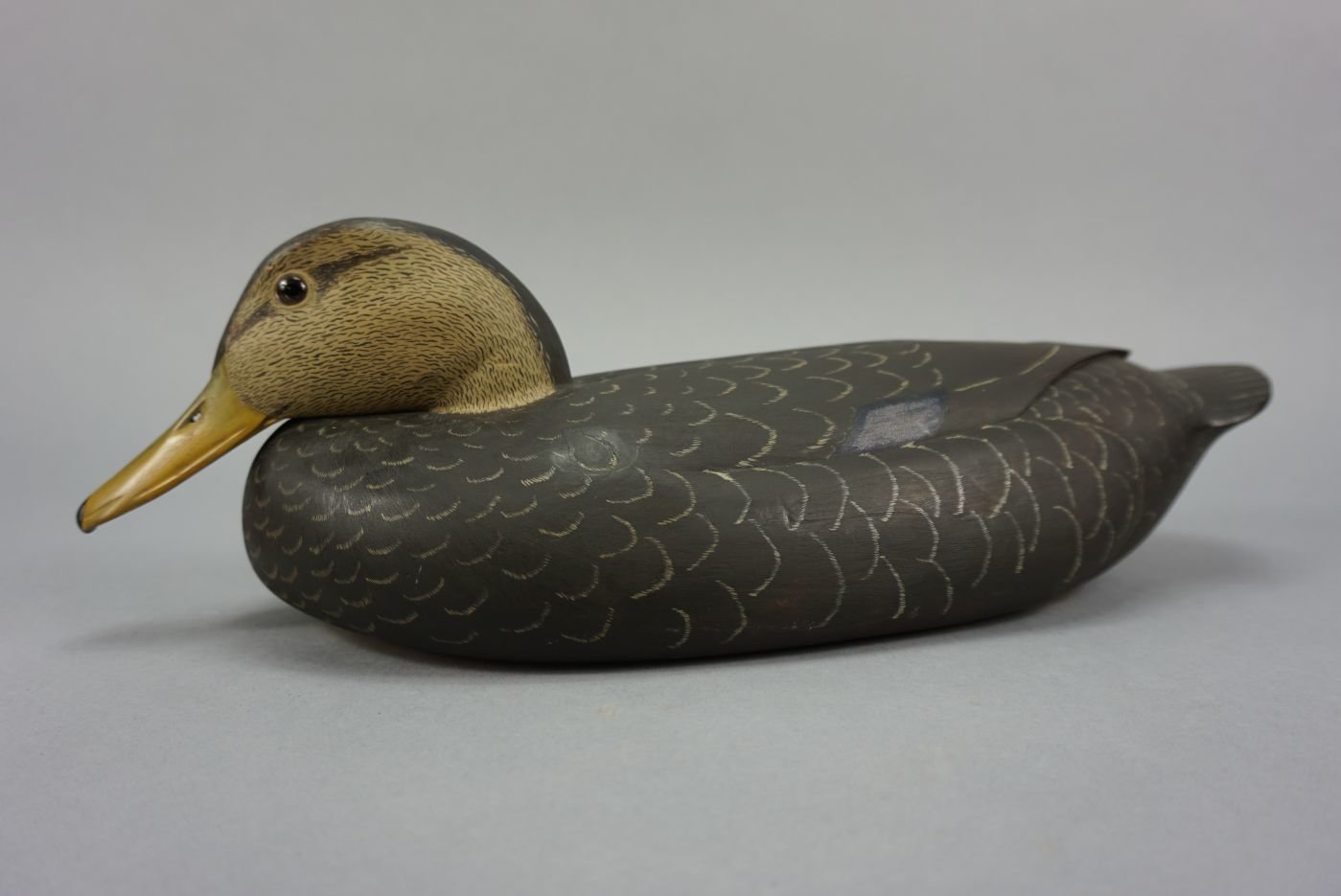 Image for March Online Sportsman's Auction 2022