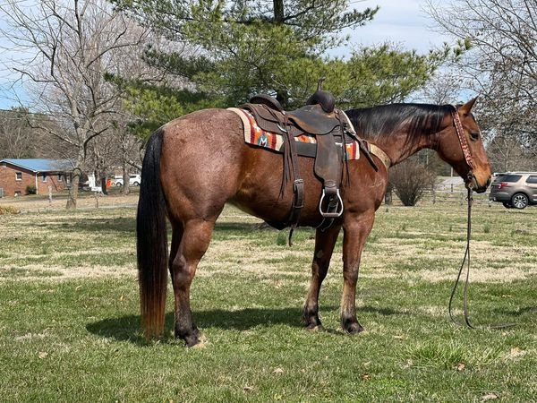 Image for 4R Spring Spectacular - March 25 & 26 - Bowling Green, Kentucky