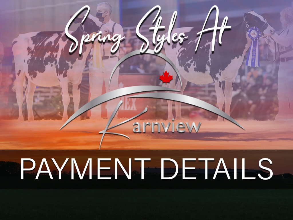 Payment Details