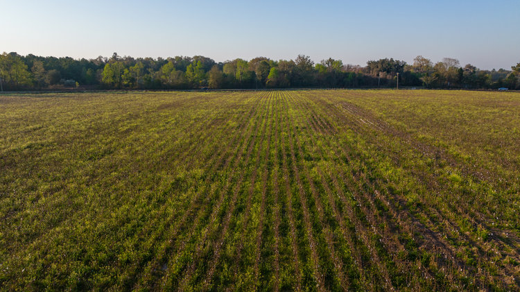 Image for 129+/- Acres Hamilton County, Florida