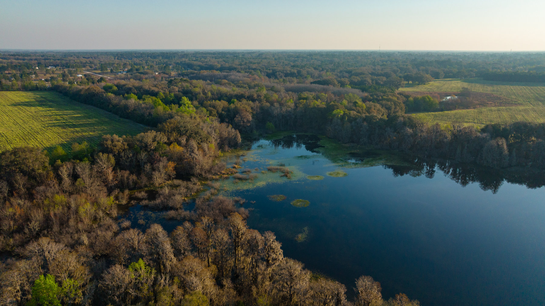 Image for 129+/- Acres Hamilton County, Florida