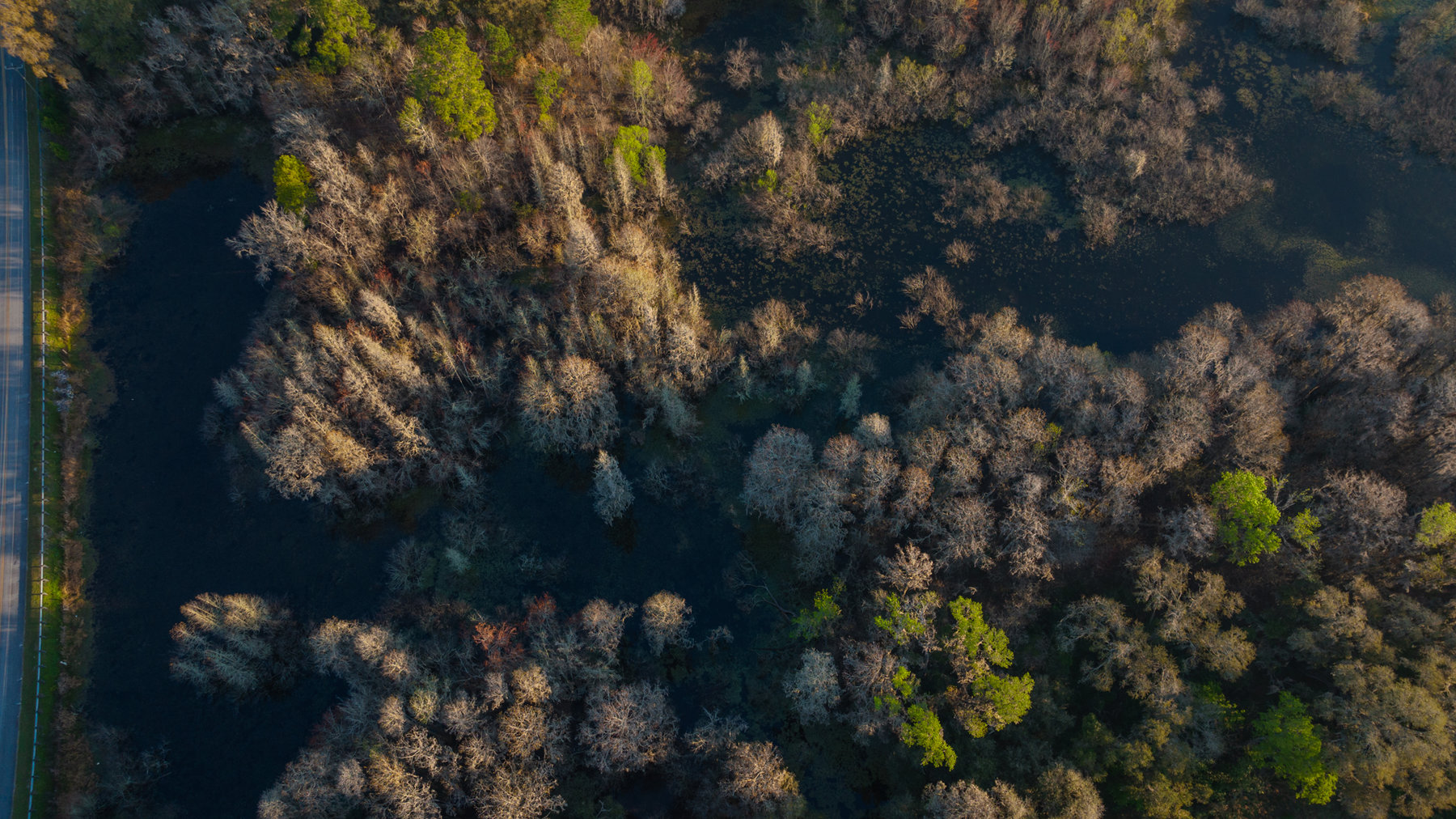 Image for 129+/- Acres Hamilton County, Florida