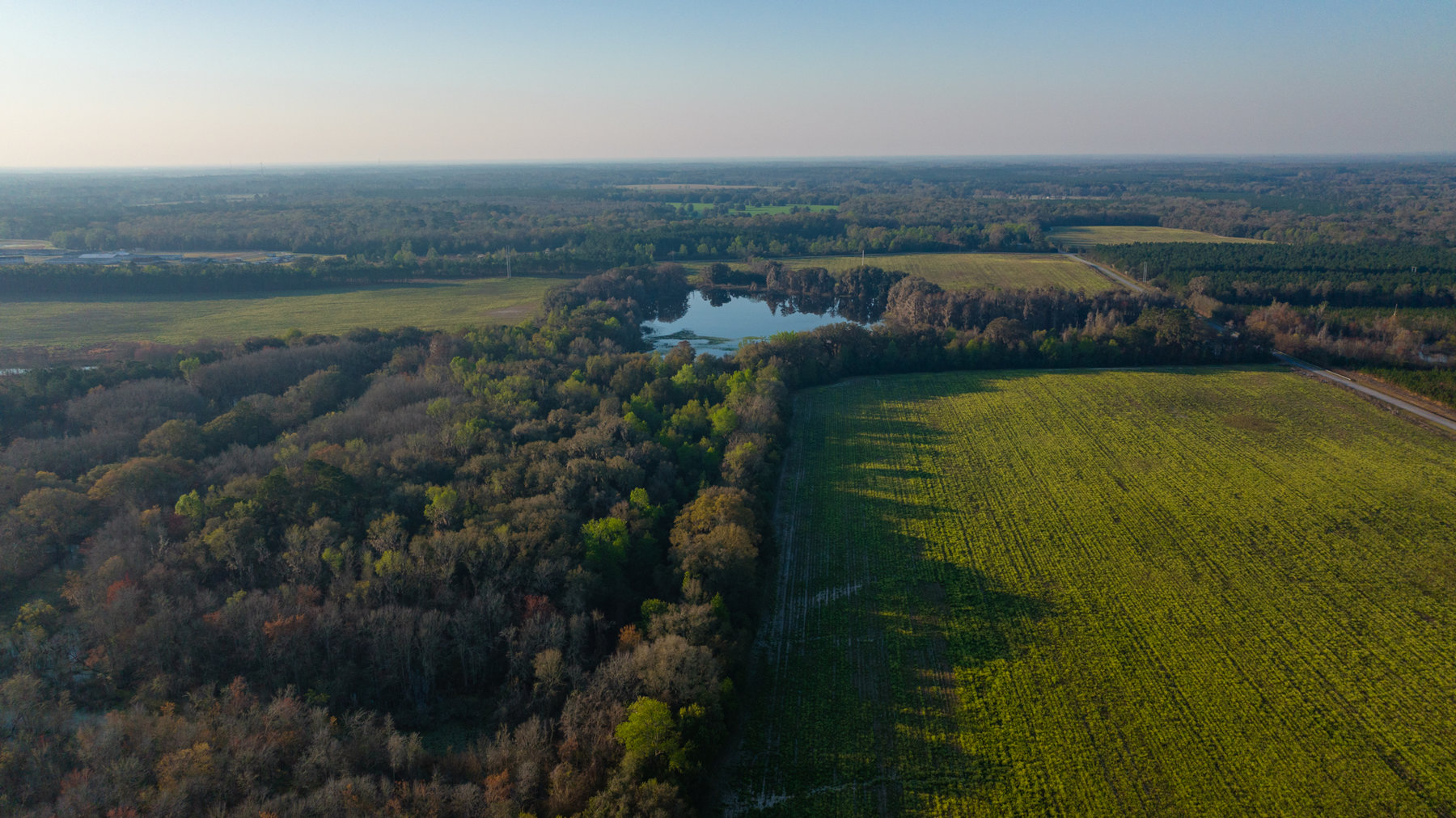 Image for 129+/- Acres Hamilton County, Florida