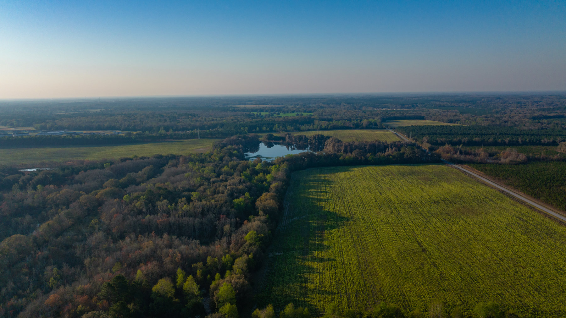 Image for 129+/- Acres Hamilton County, Florida
