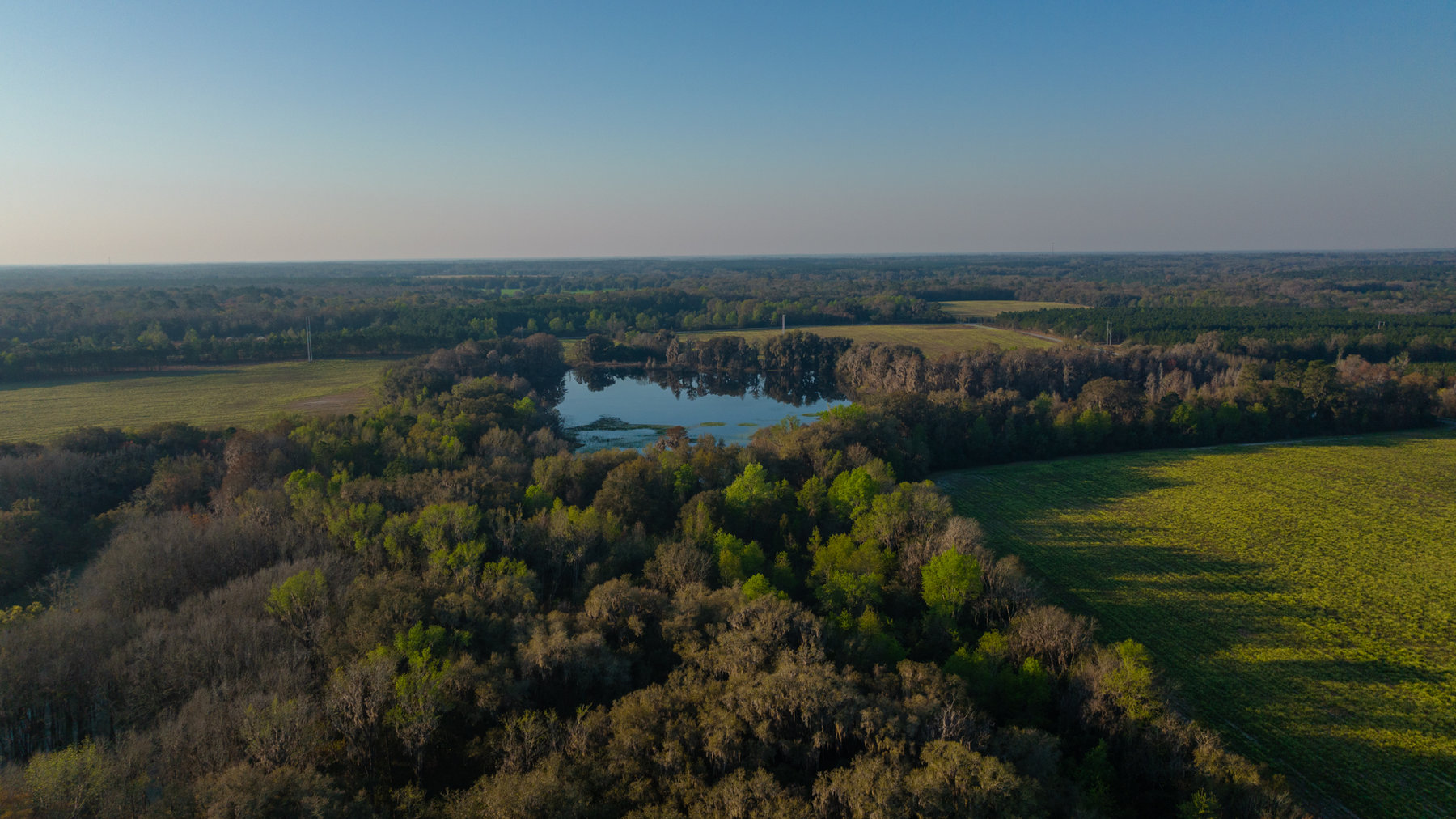 Image for 129+/- Acres Hamilton County, Florida