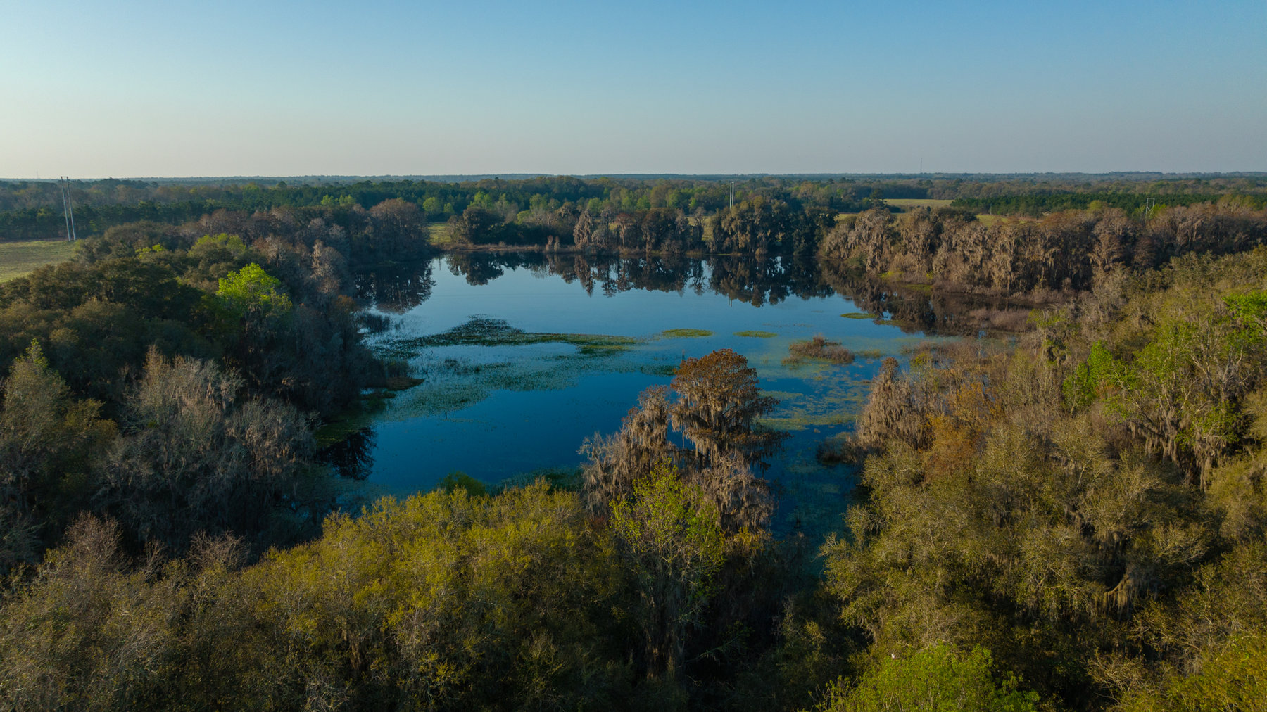Image for 129+/- Acres Hamilton County, Florida