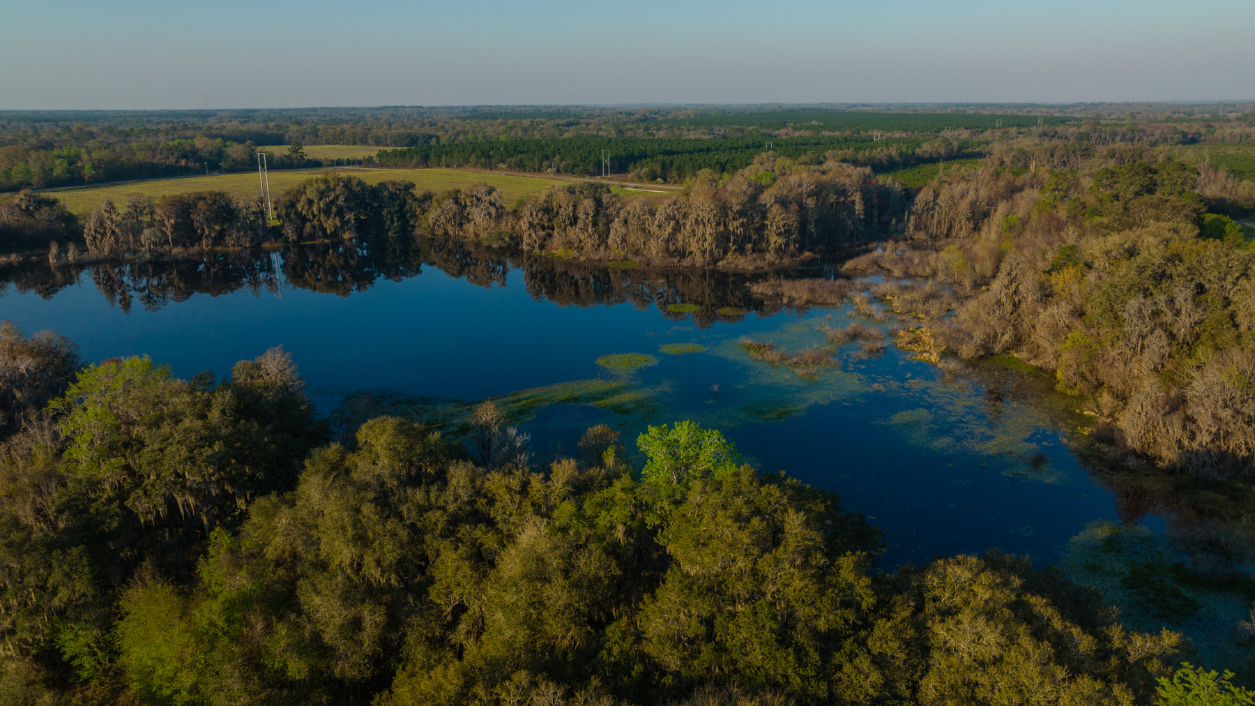 Image for 129+/- Acres Hamilton County, Florida