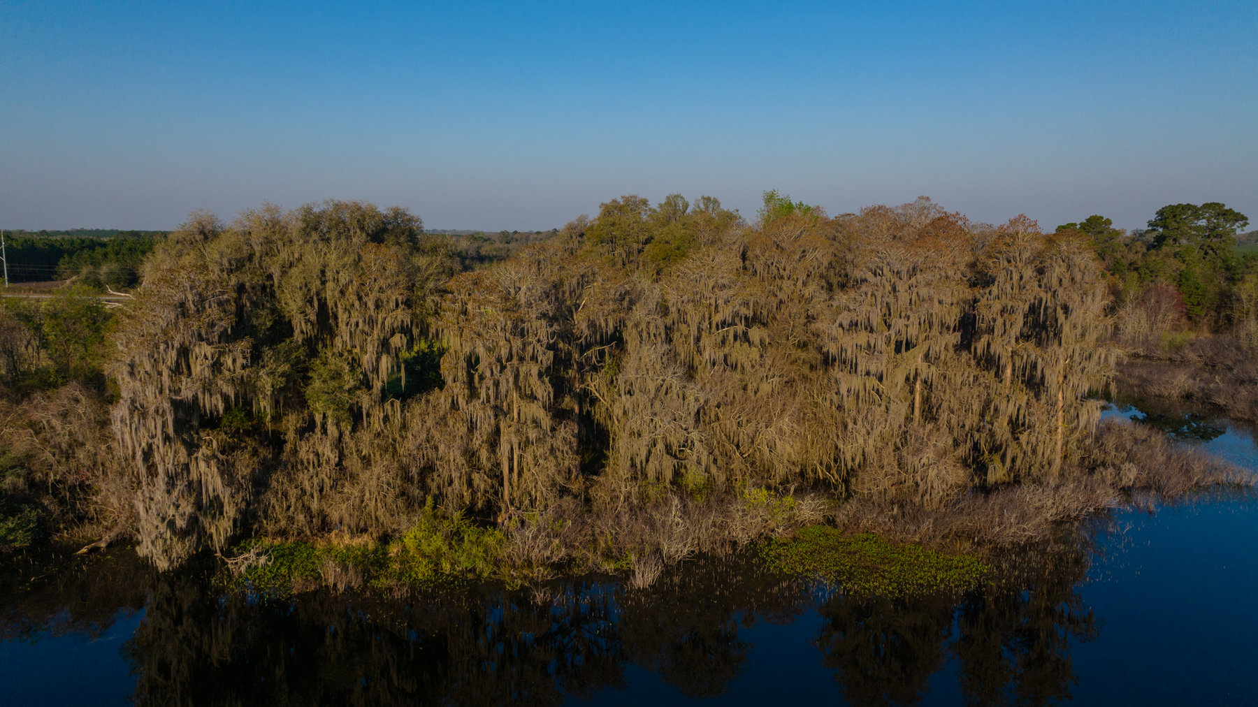 Image for 129+/- Acres Hamilton County, Florida