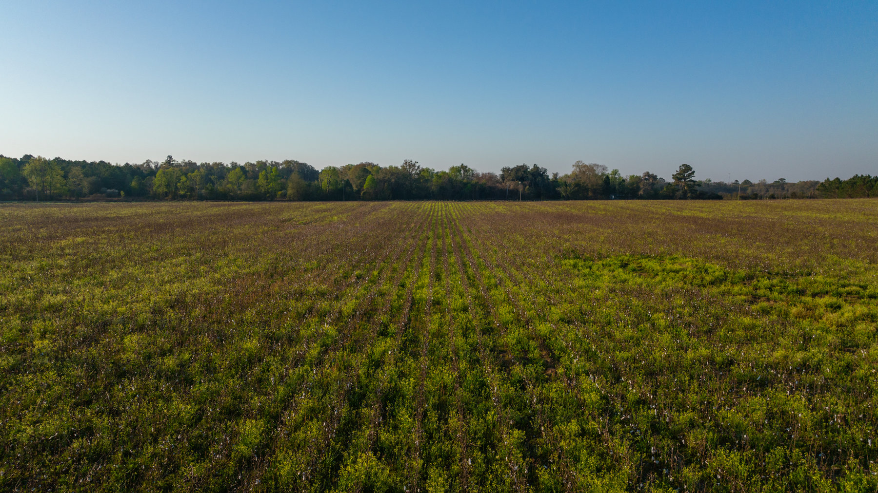 Image for 129+/- Acres Hamilton County, Florida