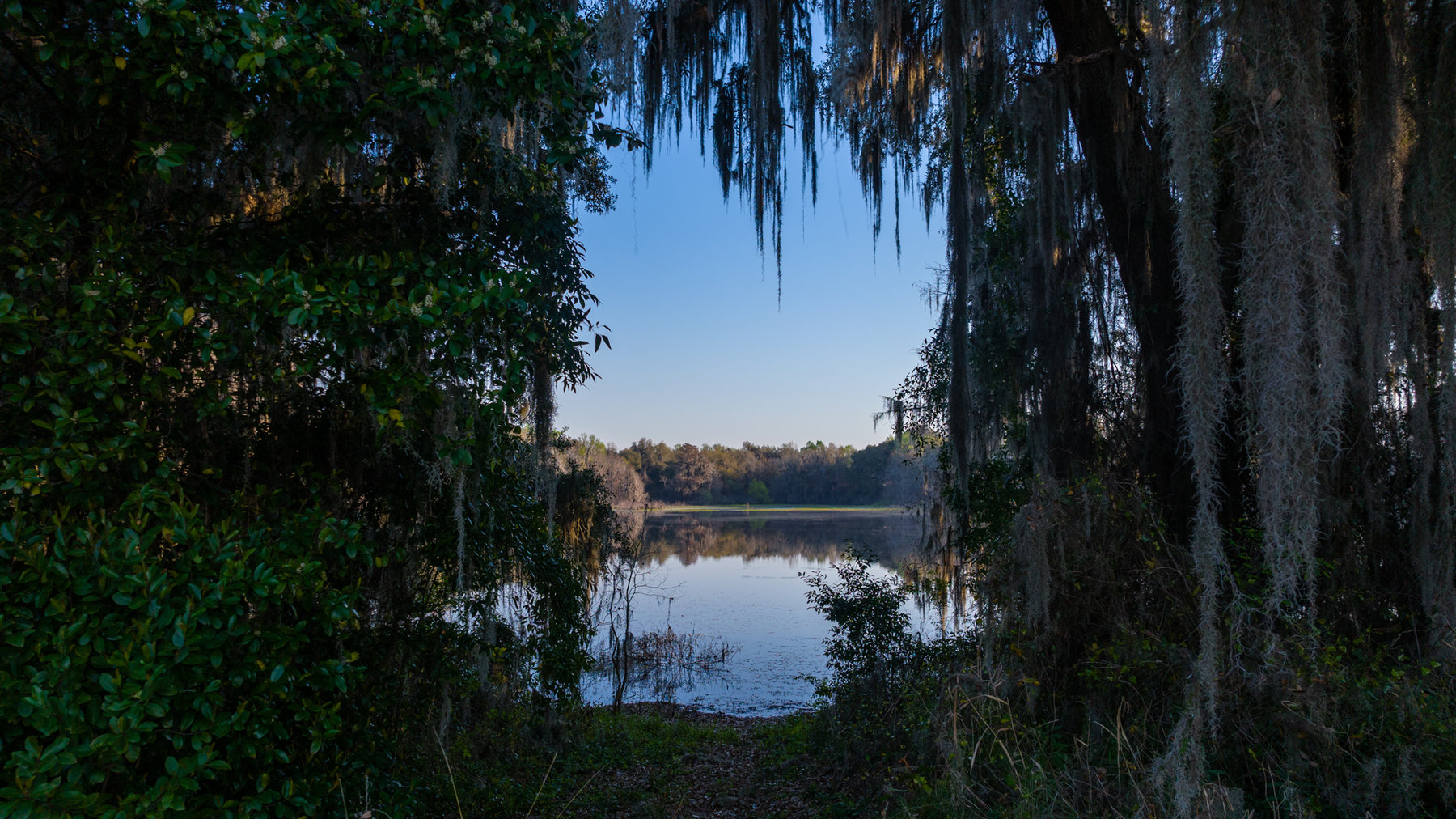 Image for 129+/- Acres Hamilton County, Florida