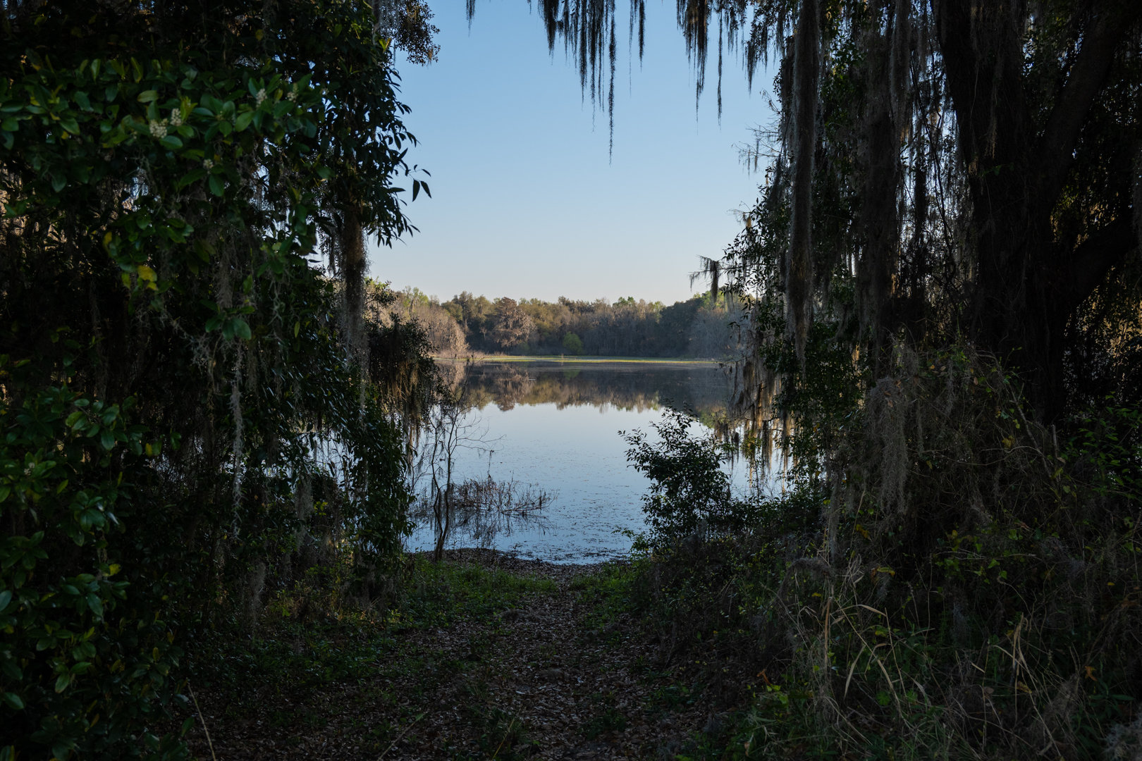 Image for 129+/- Acres Hamilton County, Florida