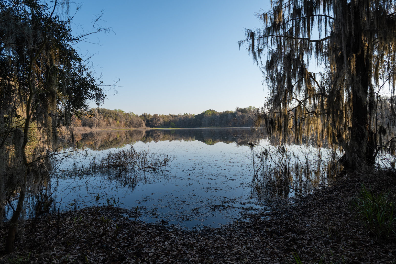 Image for 129+/- Acres Hamilton County, Florida