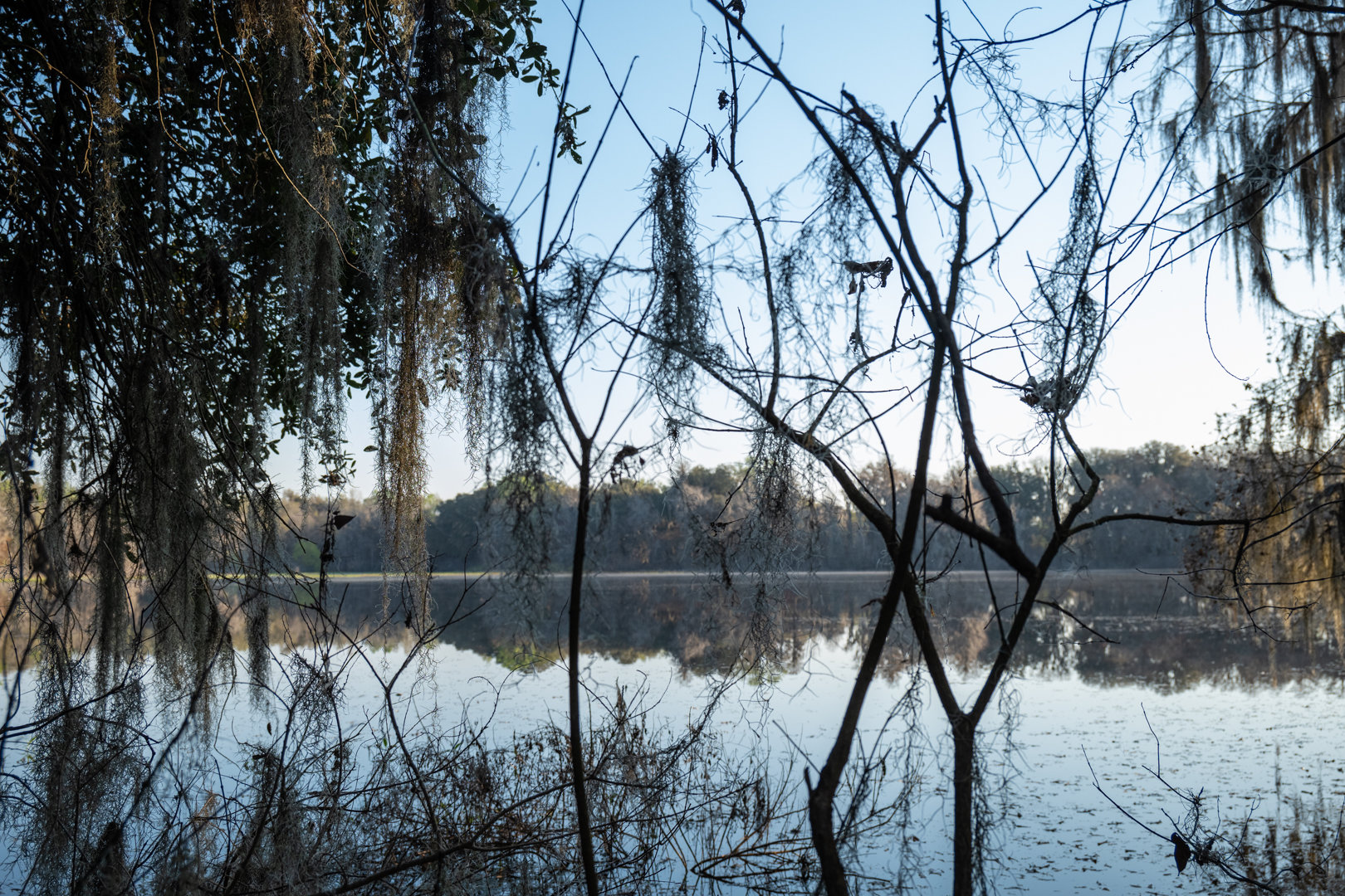 Image for 129+/- Acres Hamilton County, Florida