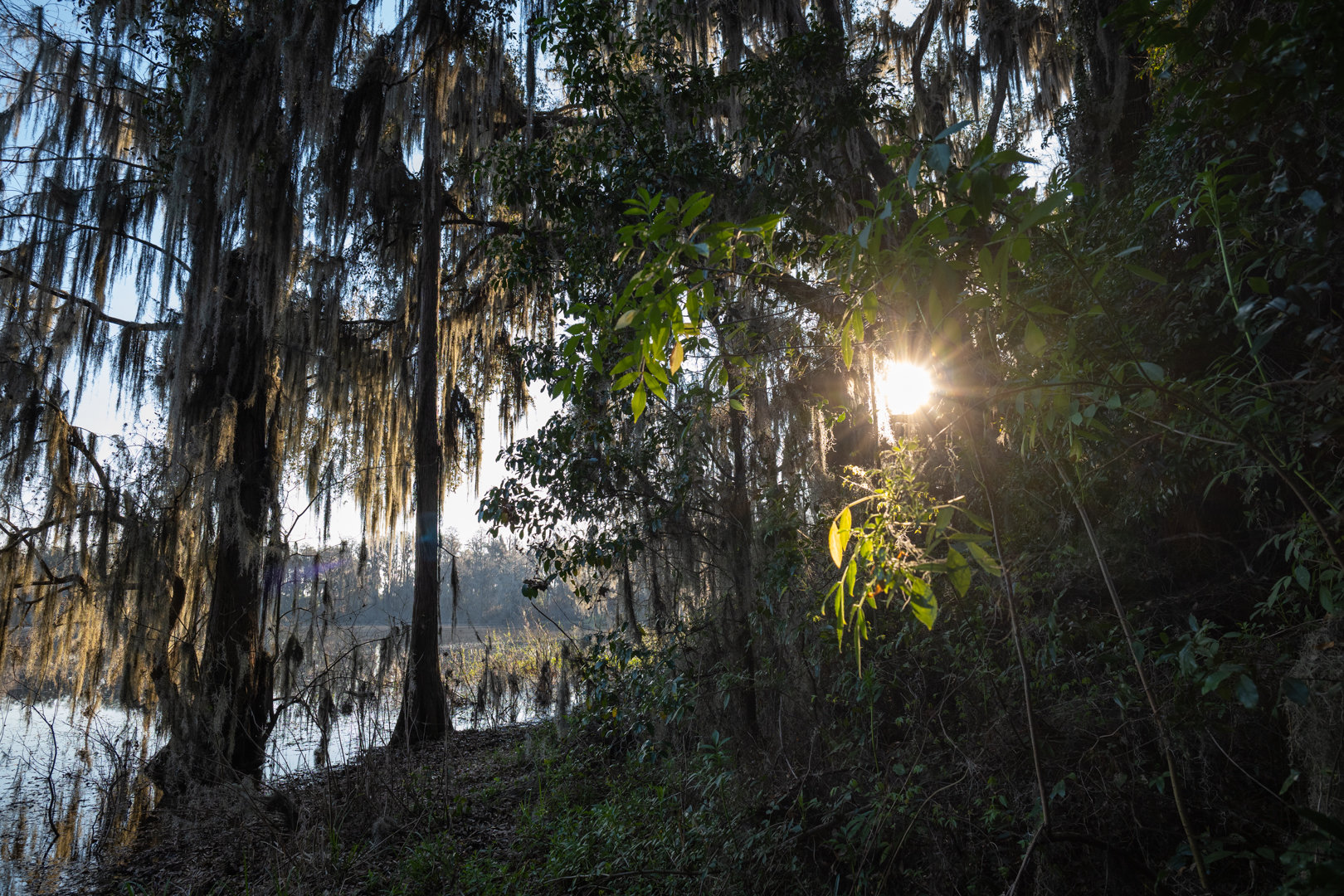 Image for 129+/- Acres Hamilton County, Florida