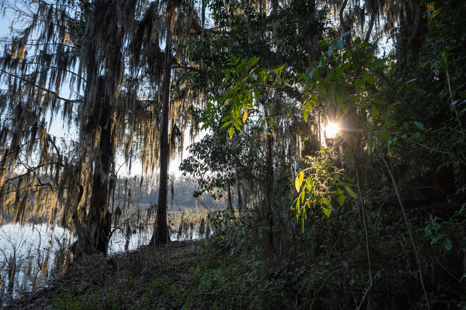 Image for 129+/- Acres Hamilton County, Florida