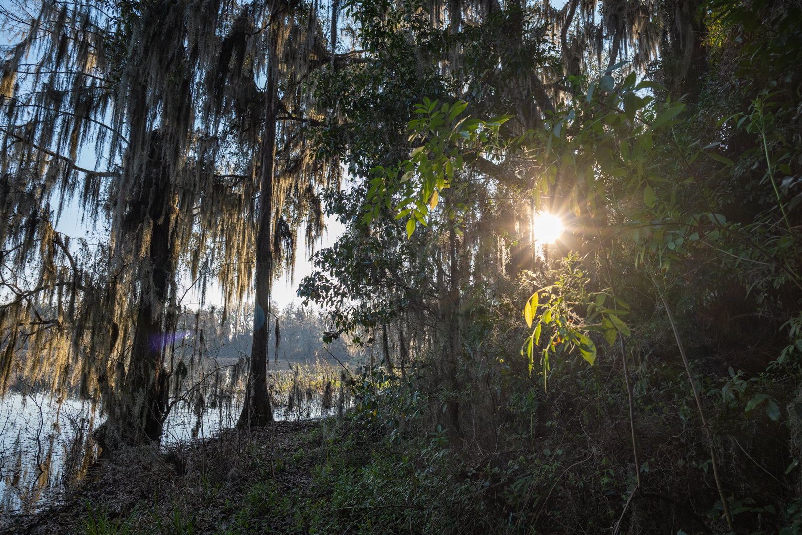 Image for 129+/- Acres Hamilton County, Florida