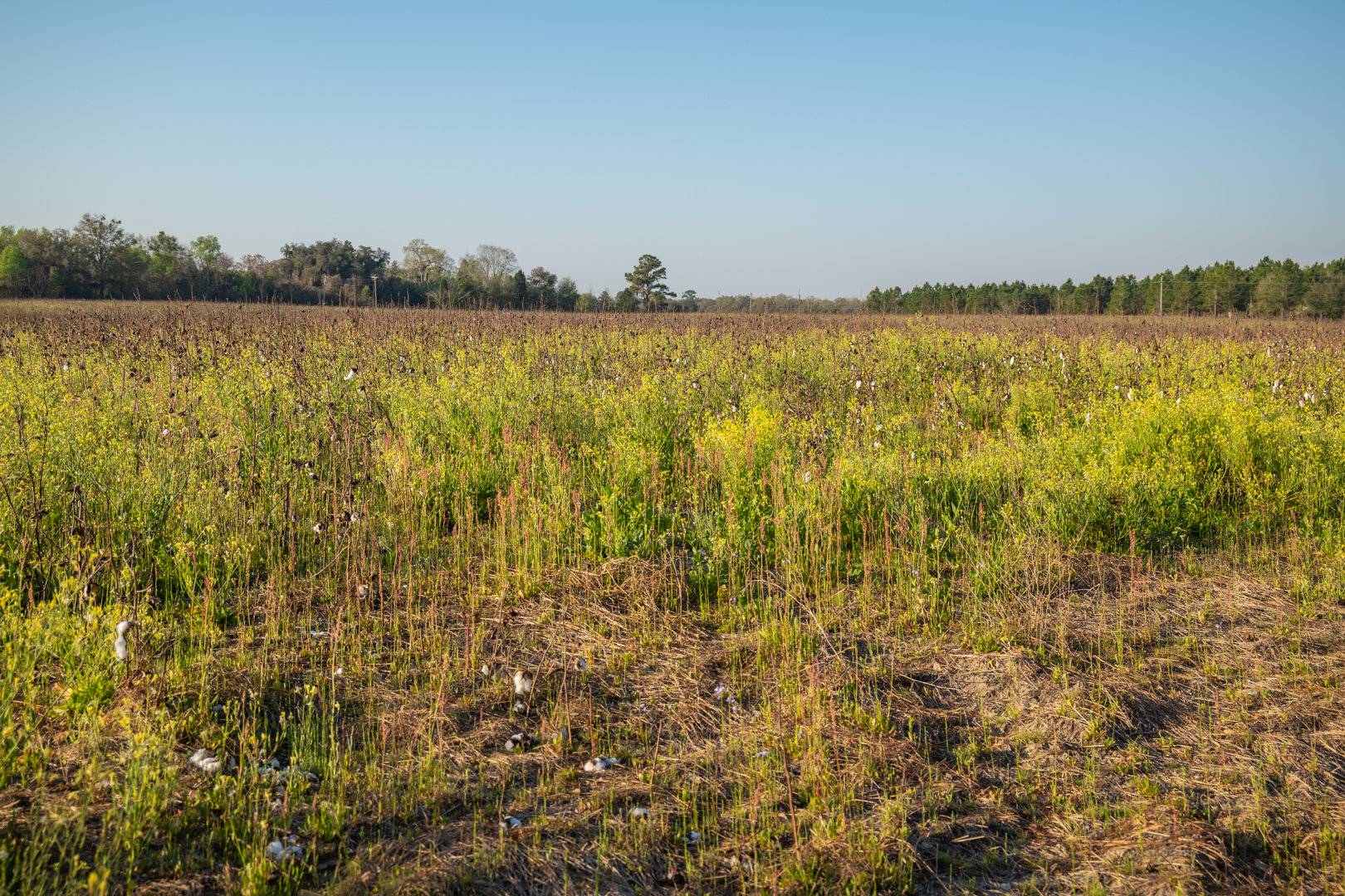 Image for 129+/- Acres Hamilton County, Florida