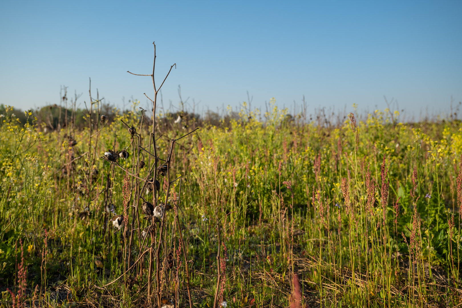 Image for 129+/- Acres Hamilton County, Florida
