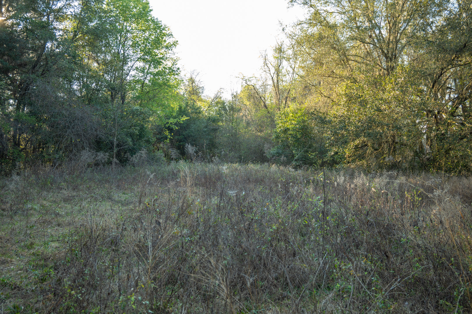 Image for 129+/- Acres Hamilton County, Florida