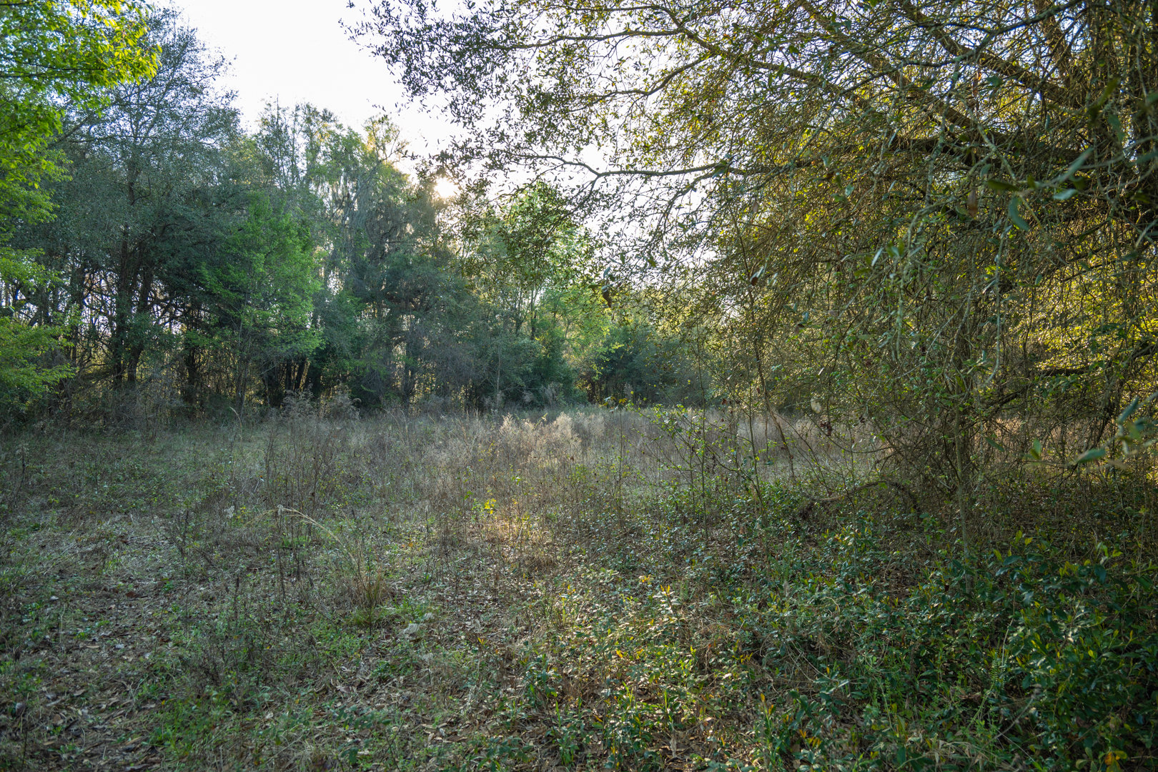 Image for 129+/- Acres Hamilton County, Florida