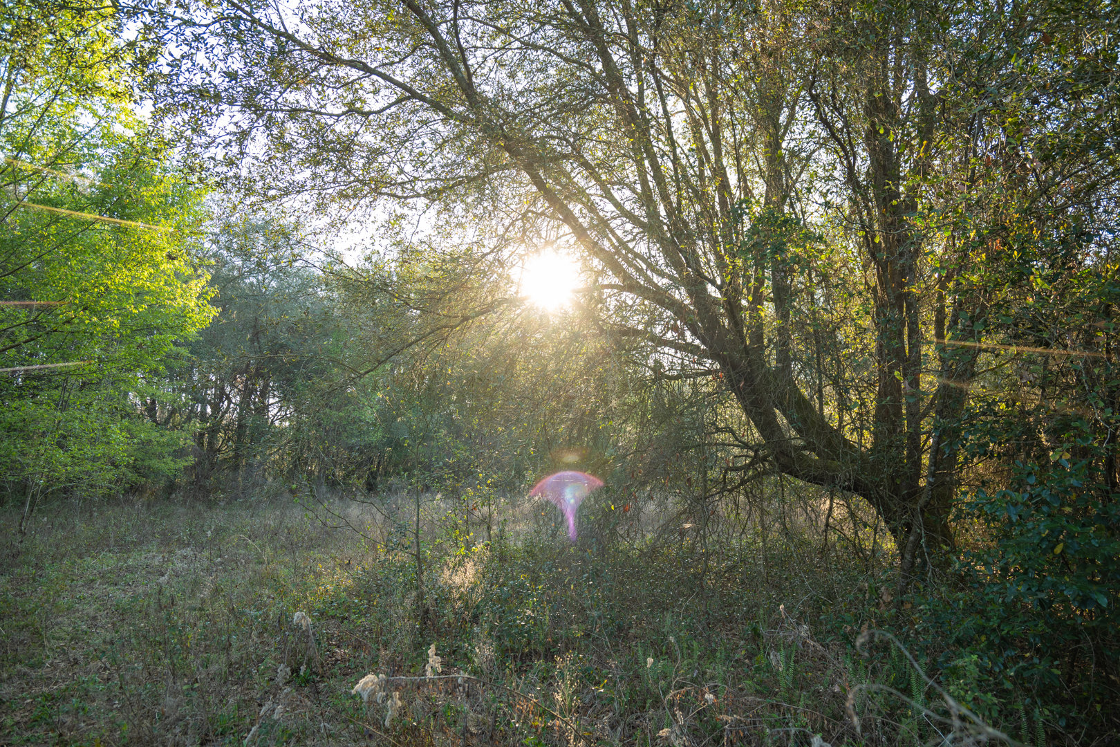 Image for 129+/- Acres Hamilton County, Florida