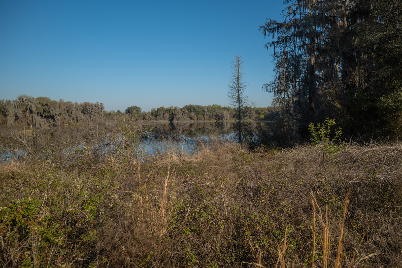 Image for 129+/- Acres Hamilton County, Florida
